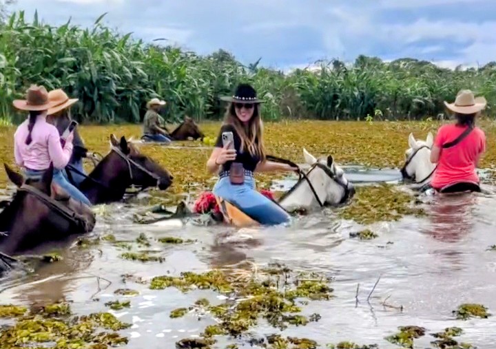 jamajkanita brazilia